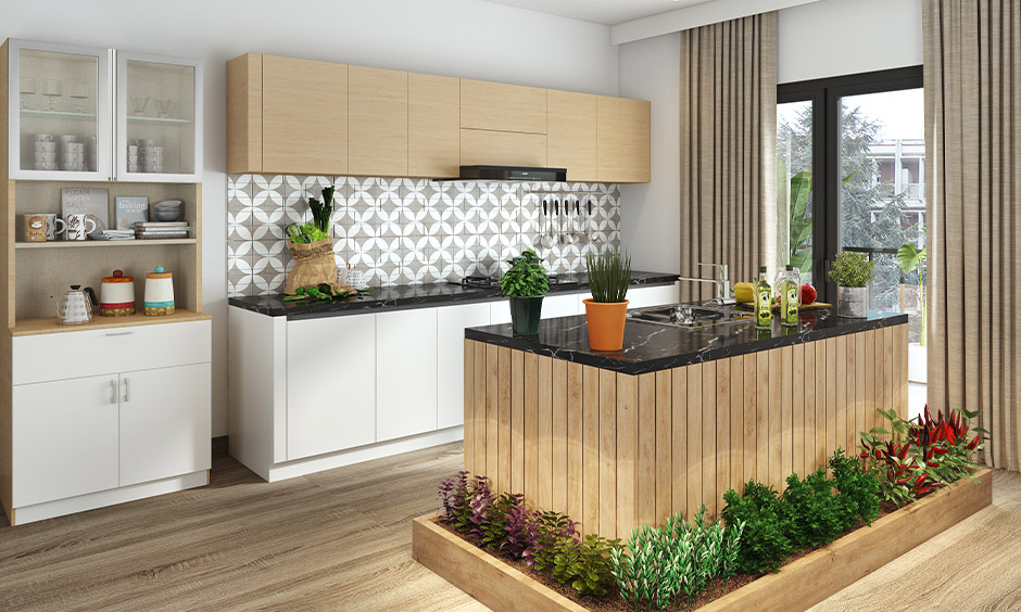 Kitchen hub garden care routine for a thriving garden