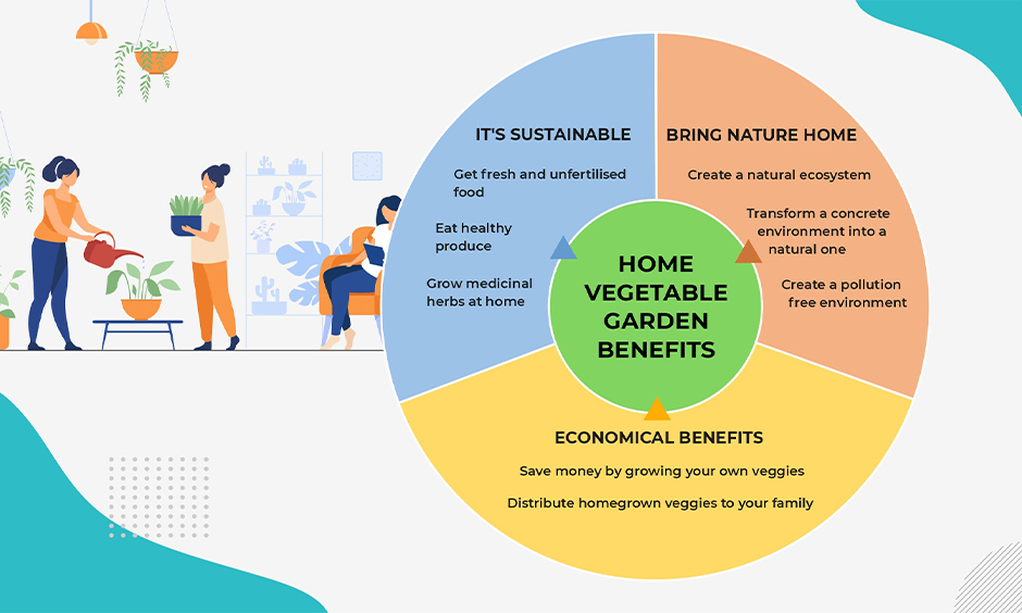 Pie chart of home vegetable garden benefits