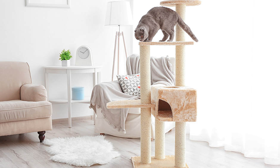 Designer cat furniture tree also doubles up as a scratchpad for them