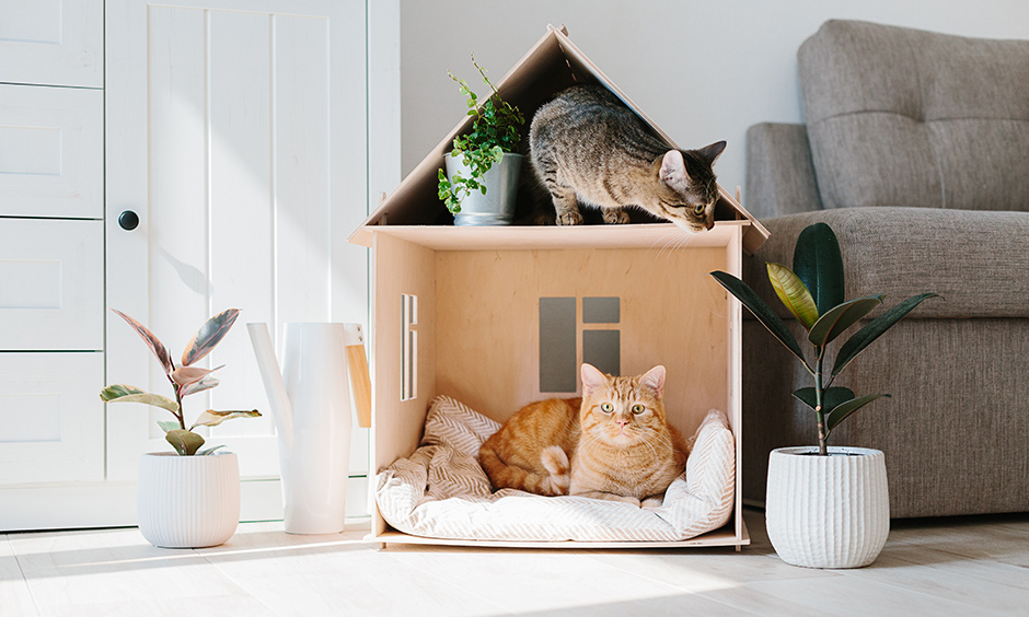 DIY wood cat furniture house with custom cushion