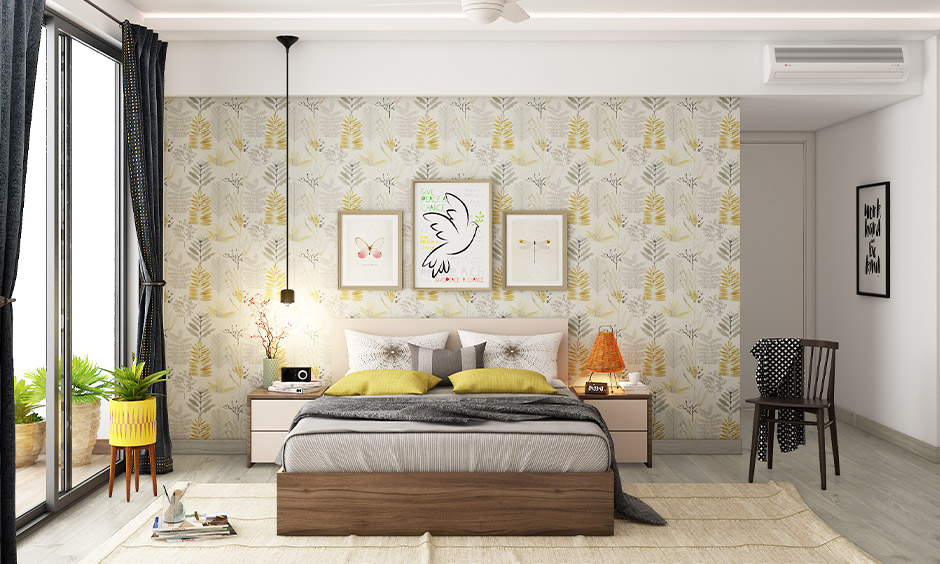 Boston Fern, the best indoor plant for bedroom