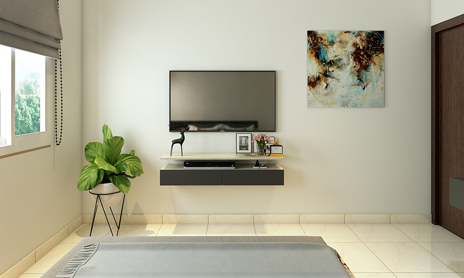 Philodendron Birkin,low light plants for bedroom