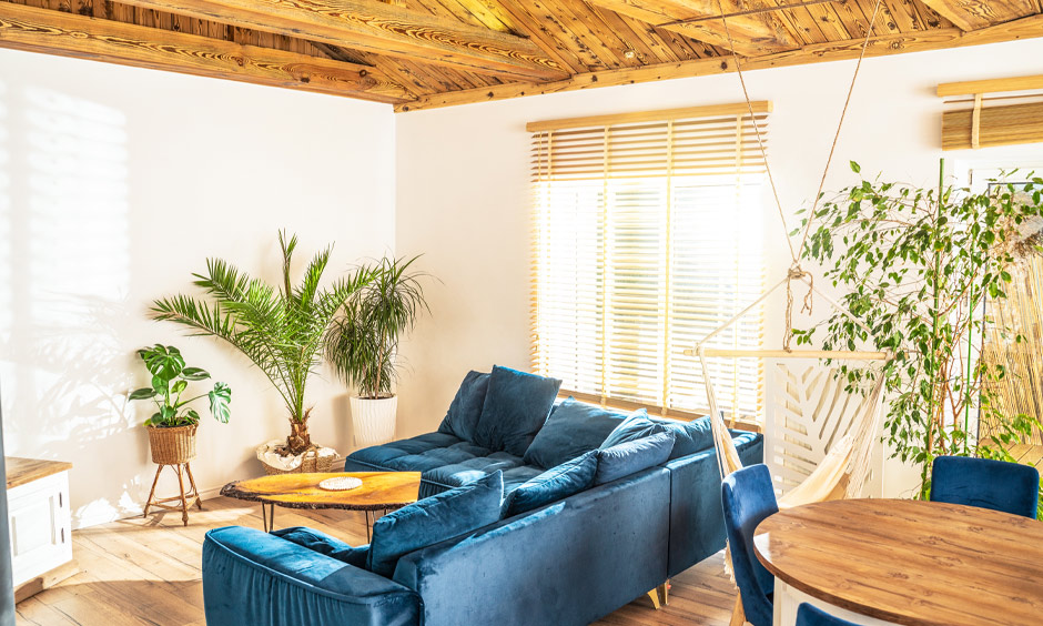 Green and blue drawing room colours, as per Vastu, exude unparalleled comfort and timeless elegance.