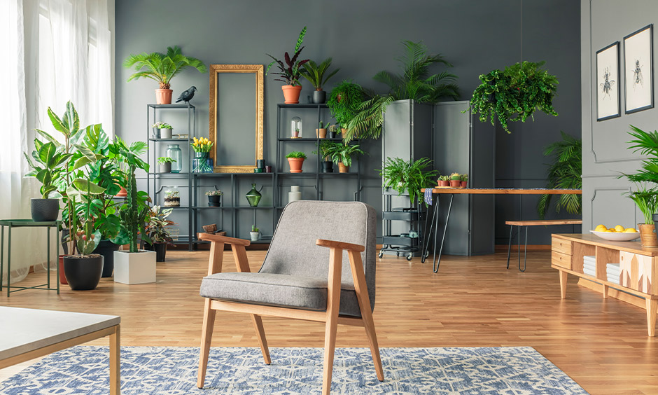 Black and green combinations for the living room for a minimalist look