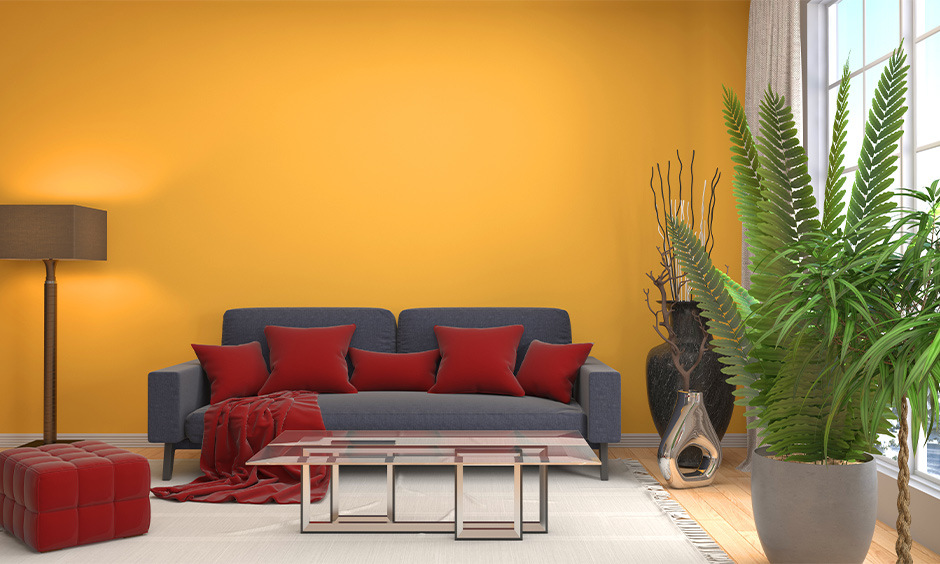 Drawing room wall colour design in mustard with neutral furnishings for a harmonious look