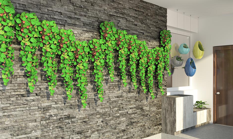 Elevation wall tile design considering climate and colour