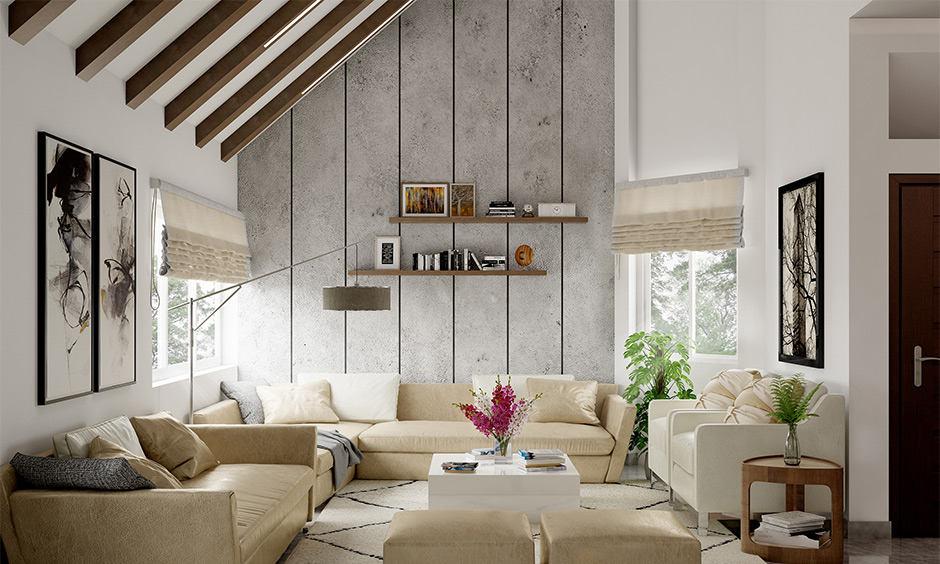Long and narrow living room in farmhouse style with green potted plants