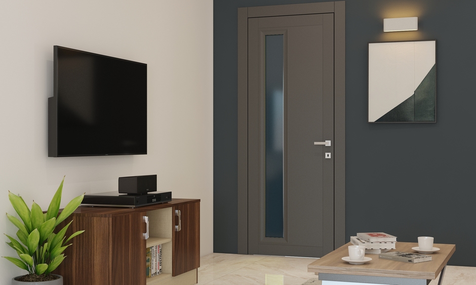 Mica flush door with glass inlay