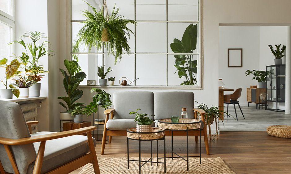 Scandinavian interior design with wooden armchairs and round tables in a cosy living room