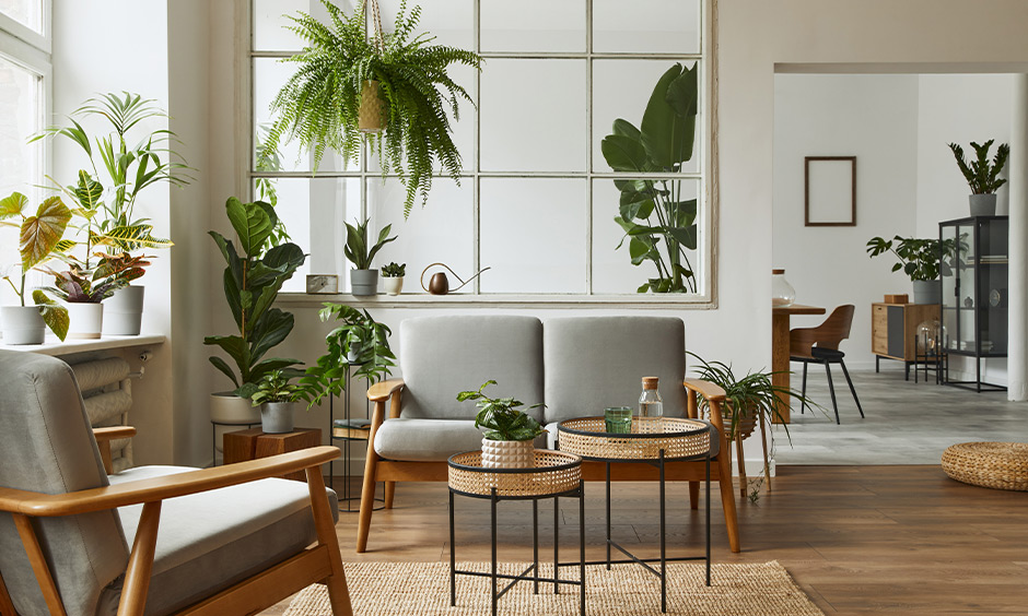 what is cottage interior design